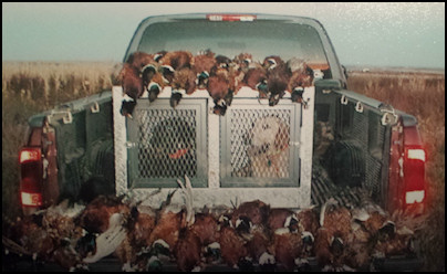 pheasant hunting in south dakota